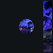 not even noticed-feel ep