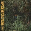 not even noticed-space beyond noise lp