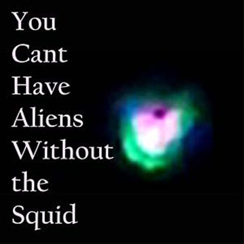 nudge squidfish-you can't have aliens without the squid lp