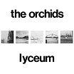 orchidds lyceum circuitry