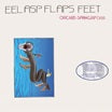 orchid spangiafora-eel asp flaps feet lp
