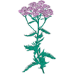patricia wolf-music to watch seeds grow by 009: patricia wolf (yarrow) cs