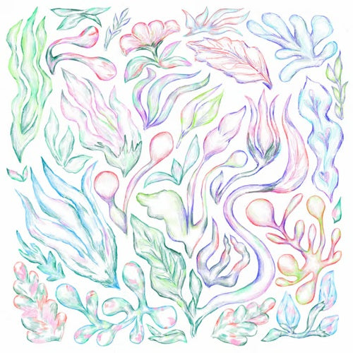 various-plants can dance lp
