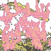 pontiac streator & ulla straus-chat lp