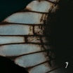 post coma-s/t lp