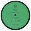 prz-pigmentor ep