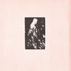 pume orenge-angel by milo lp