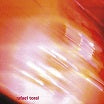 rafael toral-wave field (2025 edition) cd
