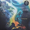 robert leiner-analog days 2lp