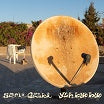 sami galbi ylh bye bye bongo joe