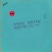 sonic youth-live in brooklyn 2011 2lp
