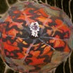 the spectacle of light abductions 2-music for the paintings of vedran kopljar lp