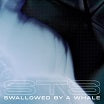 sts-swallowed by a whale ep