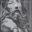 trepaneringsritualen-perfection & permanence lp