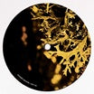 van bonn & luigi tozzi-detached trails ep