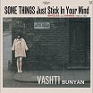 vashti bunyan-some things just stick in your mind 2lp