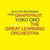 yoko ono / the great learning orchestra-selected recordings from grapefruit 2cd